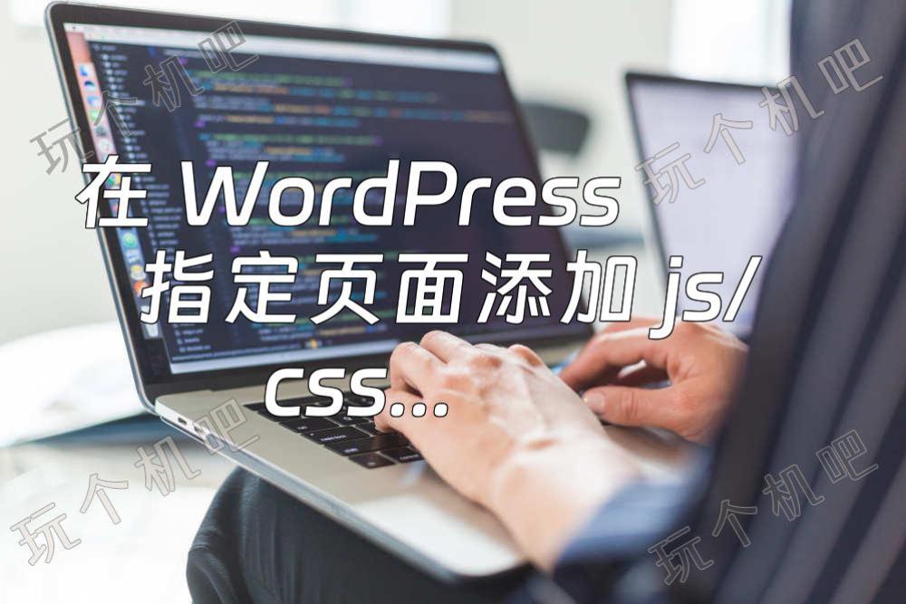 在 WordPress 指定页面添加 js/css 代码
